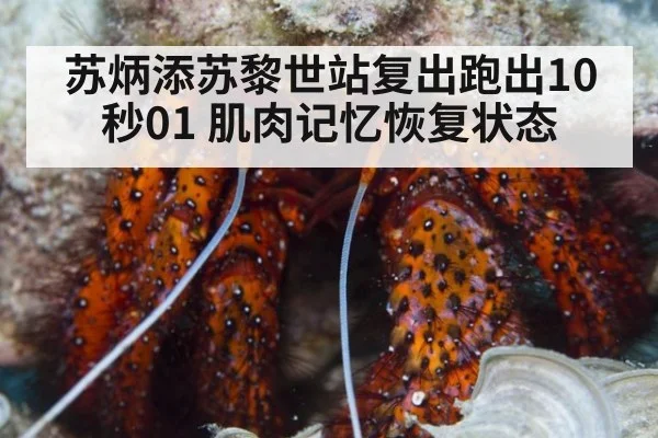 苏炳添苏黎世站复出跑出10秒01 肌肉记忆恢复状态